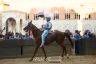 Palio 2 luglio 2019: la fotogallery della Terza Prova