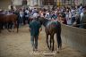 Palio 2 luglio 2019: la fotogallery della Tratta