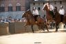 Palio 2 luglio 2019: la fotogallery della Tratta
