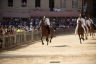 Palio 2 luglio 2019: la fotogallery della Tratta