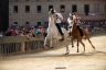 Palio 2 luglio 2019: la fotogallery della Tratta