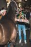 Fucecchio: la fotogallery dell'assegnazione dei cavalli